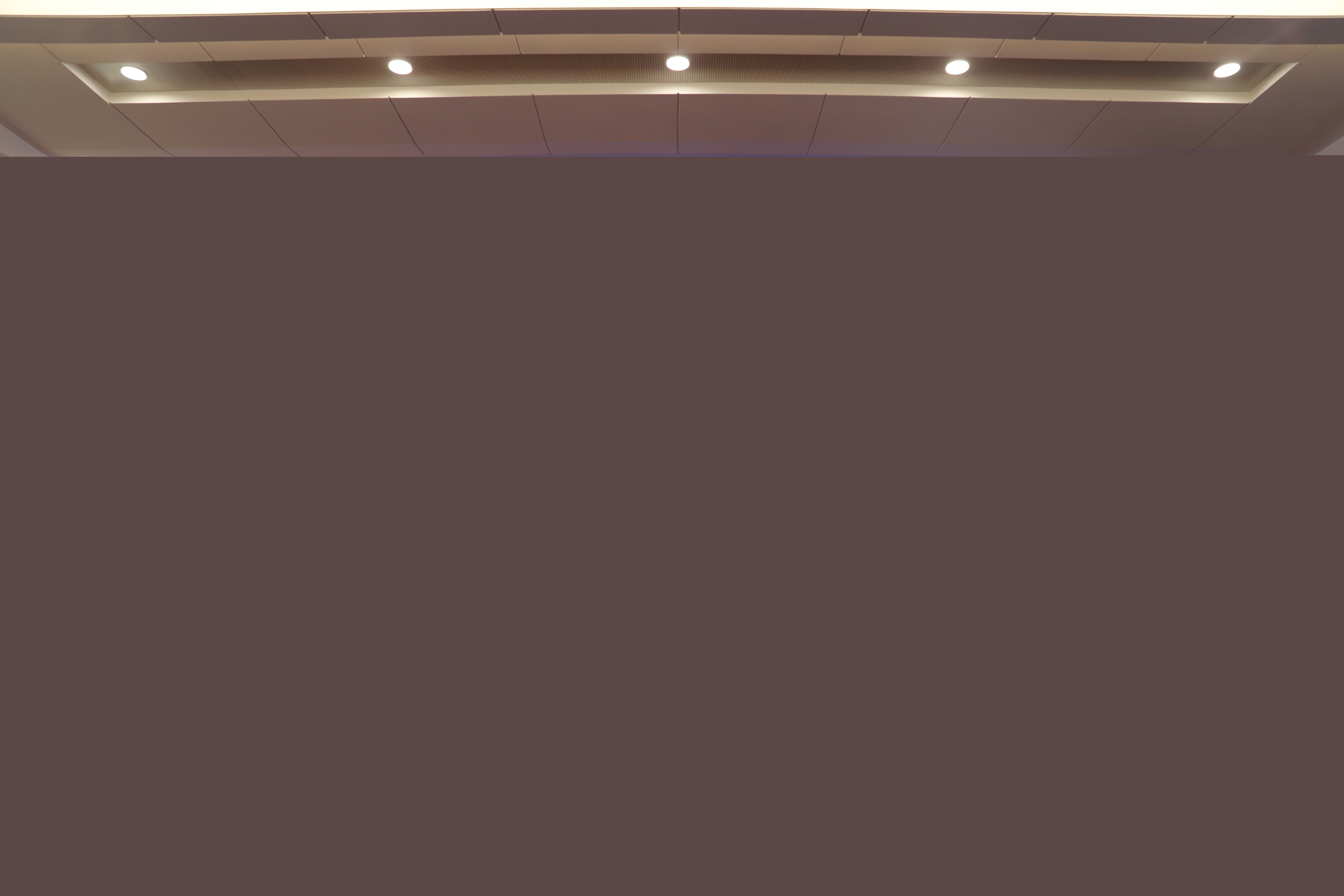 筑牢廉洁防线——黄石港区检察院召开2023年节前教育大会